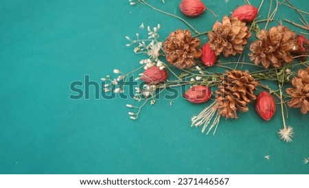 Christmas pine with green tosca background, copy space