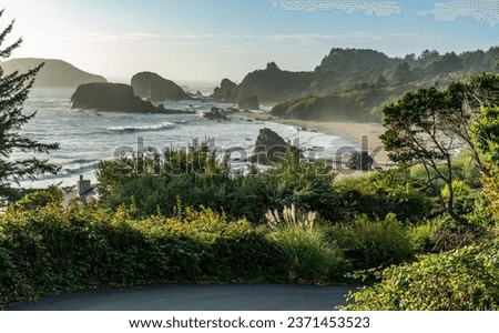 A view in the evening of Harris State Park in Brookings, Oregon. Royalty-Free Stock Photo #2371453523