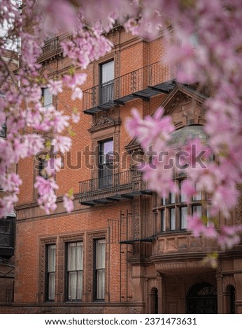 A vertical shot of a tree with purple flowers in front of an old building in Boston, MA