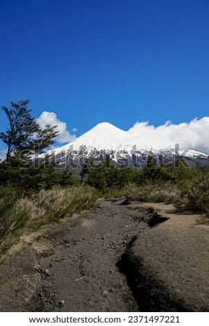 Amazing view of the Osorno volcano in the national park Vicente perez rosales, during a summer day. Vertical picture. Petrohue, Chile.