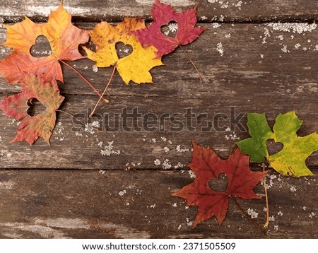 Colorful maple leaves with heart shaped holes arranged on an old wooden table.