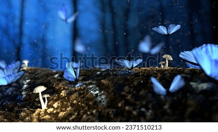 beautiful fantasy butterflies Mushrooms image