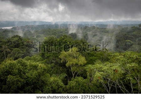 photo top view amazon rainforest