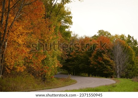 Road winding through colorful autumn forest. Fall season. Wisconsin, USA. 
