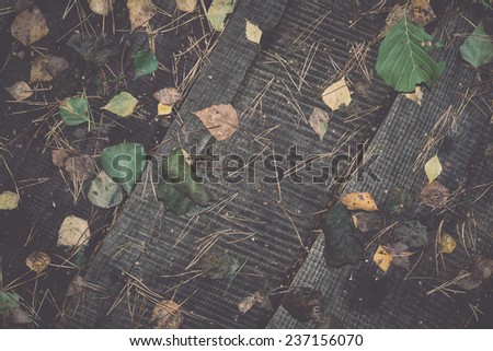 old wooden planks covered with autumn leaves - retro, vintage style look