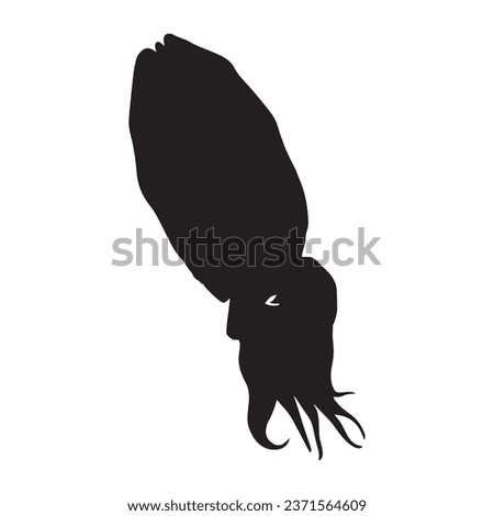 Vector Illustration of Cuttlefish Silhouette