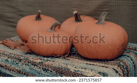 Pumpkin concept. Traditional symbol of autumn harvest, pumpkin soup, pie, Thanksgiving. Agricultural land. Selective focus. Autumn organic vegetables background. Rural market.