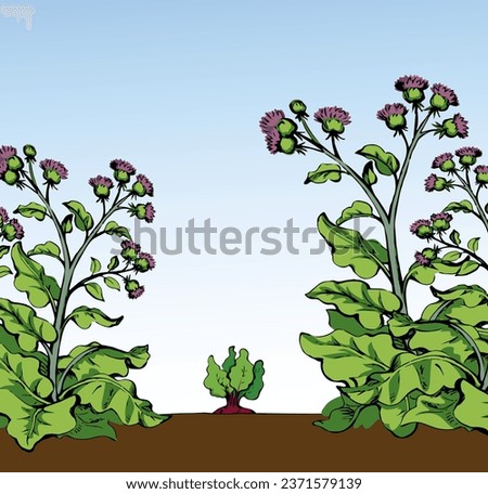 Big green row grass thorn burdock bloom outdoor yard scene outline black hand drawn farmer root eco bio turnip seed eat fight sign icon symbol. Closeup scenic view retro art doodle line sky text space Royalty-Free Stock Photo #2371579139