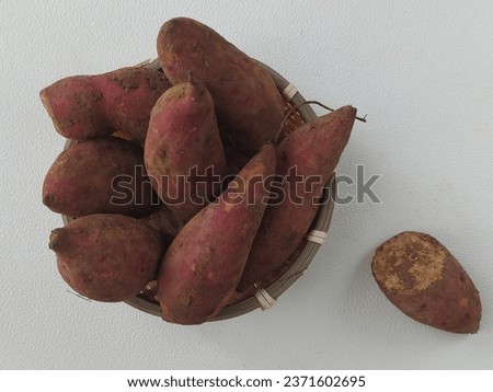 The sweet potato or sweetpotato or Ipomoea batatas. It is a dicotyledonous plant that belongs to the bindweed or morning glory family, Convolvulaceae.