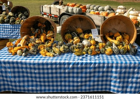 pumpkins for sale at. farmers market