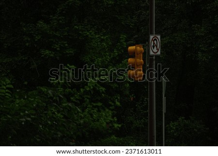 Stop light and foliage with background forest