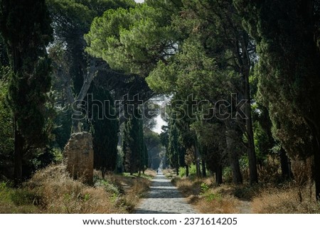 Ancient Roman road in Italy called Appian way. The most important ancient Roman roads build to supply troops Royalty-Free Stock Photo #2371614205