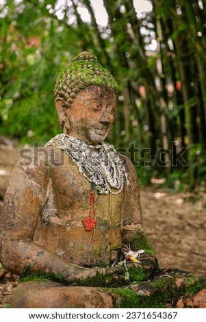 Buddha statue at Kilauea Stone Dam at the end of Wai Koa Loop Trail, surrounded by lush forest, Kauai, Hawaii