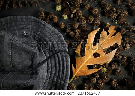 fall leaf and hat.  outdoor background 