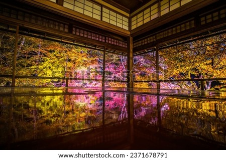 Colorful autumn leaves magically illuminated at night at Ruriko-in Temple in Kyoto, Japan