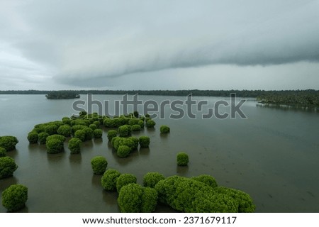 Tropical lake view with mangrove trees, Aerial drone image of Kavvayi island Kannur, Kerala travel and tourism concept image Royalty-Free Stock Photo #2371679117