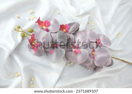 A collection of photos of orchids in various color variations was placed on a table covered with cloth