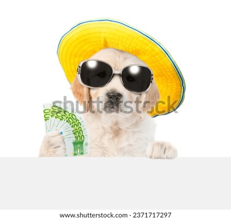 Funny Golden retriever puppy wearing sunglasses and summer hat holds Euro in it paw and looking above empty white banner. Isolated on white background