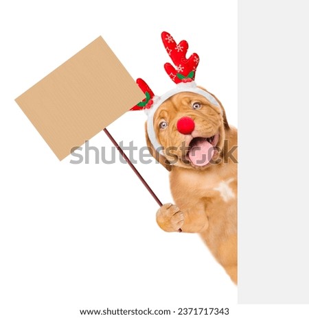 Happy Mastiff puppy dressed like santa claus reindeer  Rudolf holds glass of champagne above empty white banner. isolated on white background
