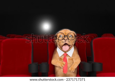 Happy Mastiff puppy wearing eyeglasses and red tie bow watching a movie in the cinema