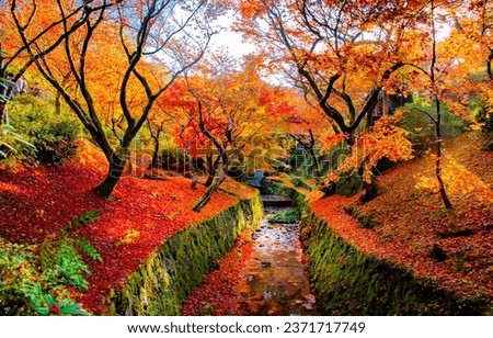 Scenic view of Colorful maple trees in Zen style garden in autumn at Tofukuji Temple, Kyoto, Japan Royalty-Free Stock Photo #2371717749