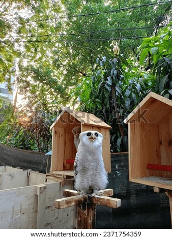 owl like statue, so cool!!