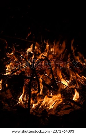 Fire flames burning grass on a black background