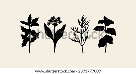Collection of hand drawn epazote, wild garlic, mint, dill Royalty-Free Stock Photo #2371777009
