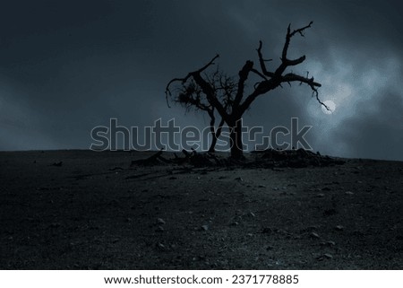 Spooky halloween background with dead tree in a full moon night