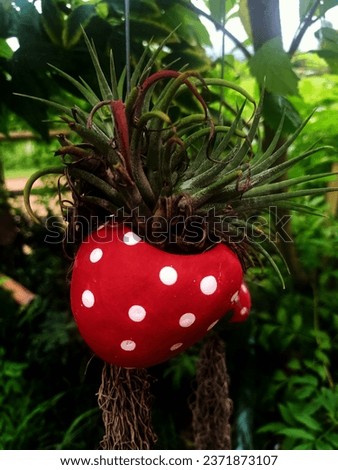Picture of a red strawberry with white polka dots and a small green plant on top.