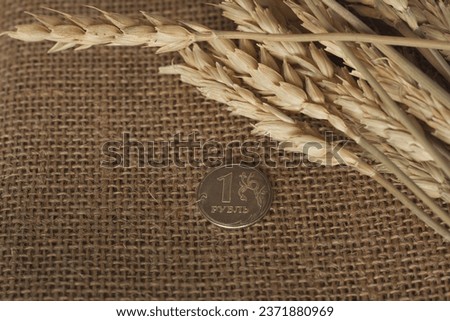 ruble against the background of wheat and buckwheat. Grain deal concept