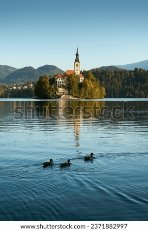 Vertical landscape of Lake Bled on an autumn morning with the famous Church on the island. Ducks swimming on the lake.