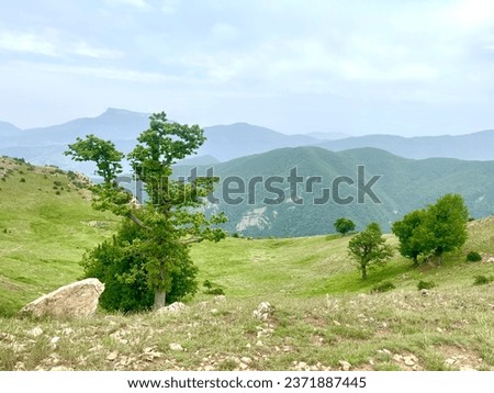 A perspective of green land and green hills Royalty-Free Stock Photo #2371887445