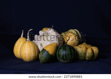 An autumn picture of little colorful pumpkins on a black background.