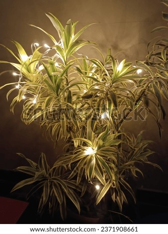 Adding a touch of magic to nature's beauty with fairy lights.  Royalty-Free Stock Photo #2371908661