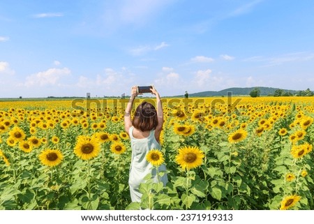 Happy Asian woman hand using mobile phone to take a photo at full bloom sunflower field in travel holidays vacation trip at natural garden park in Lopburi, Thailand.