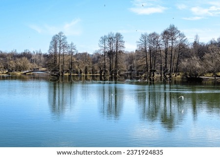 Landscape with large old trees near the lake in Tineretului Park (Parcul Tineretului) in Bucharest, Romania, in a sunny winter day Royalty-Free Stock Photo #2371924835