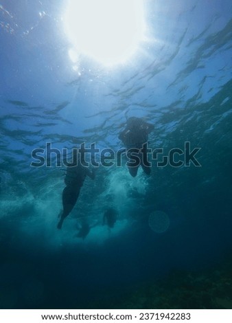 people snorkeling on the sea