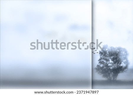 Lonely tree. Photo with a frosted glass effect applied to one side. presentation, card, poster etc. ready-to-use image.
