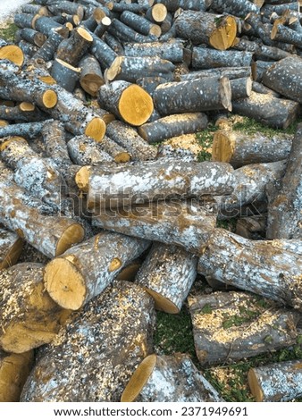 firewood logs freshly cut ready for winter
