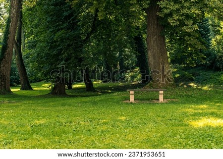 Abstract photo of a beautiful castle park. Bench with in the castle park. Place for rest, sitting. Park in summer season, fresh, grass, trees, season, empty bench