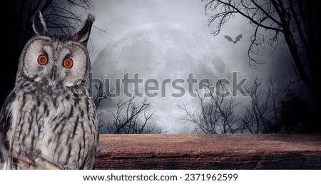 Owl halloween images: foggy and night pumpkin