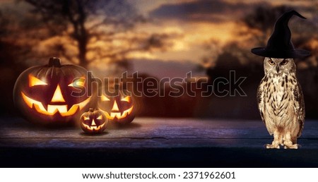Owl halloween images: foggy and night pumpkin