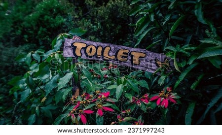 toilet in the middle of the forest