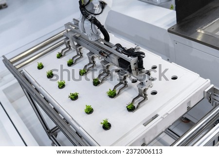 Agricultural robots are working in vegetable greenhouses