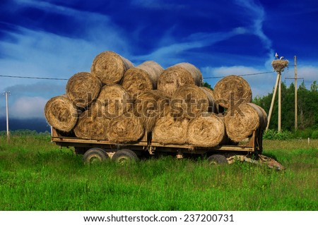 Hay bales on the horse-drawn vehicle