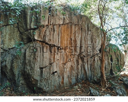A big rock with rough textured at Leang-Leang Archaeological Park, Maros, South Sulawesi, Indonesia. Archaeological site. Heritage and antique concept.