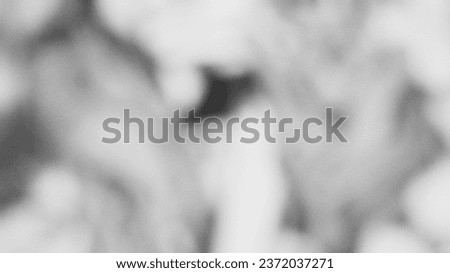 Beautiful abstract white and black blurred background