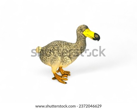 miniature dodo bird on white background