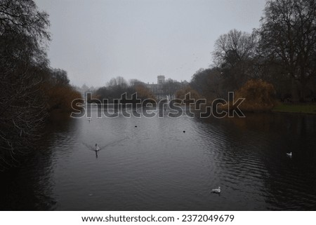 Ducks and swans swimming at Saint James's Park Lake on a cloudy winter day
